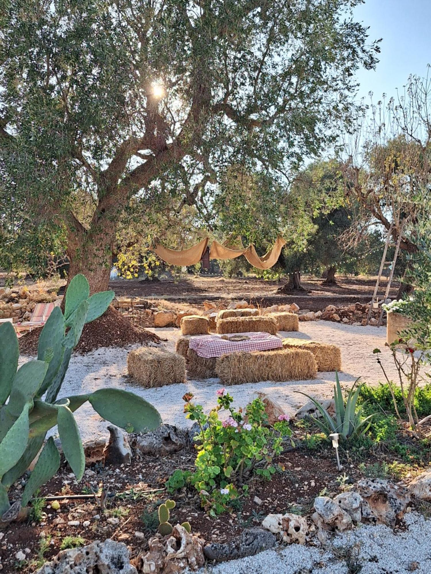 Casa de Férias Residenza Anima Mediterranea *