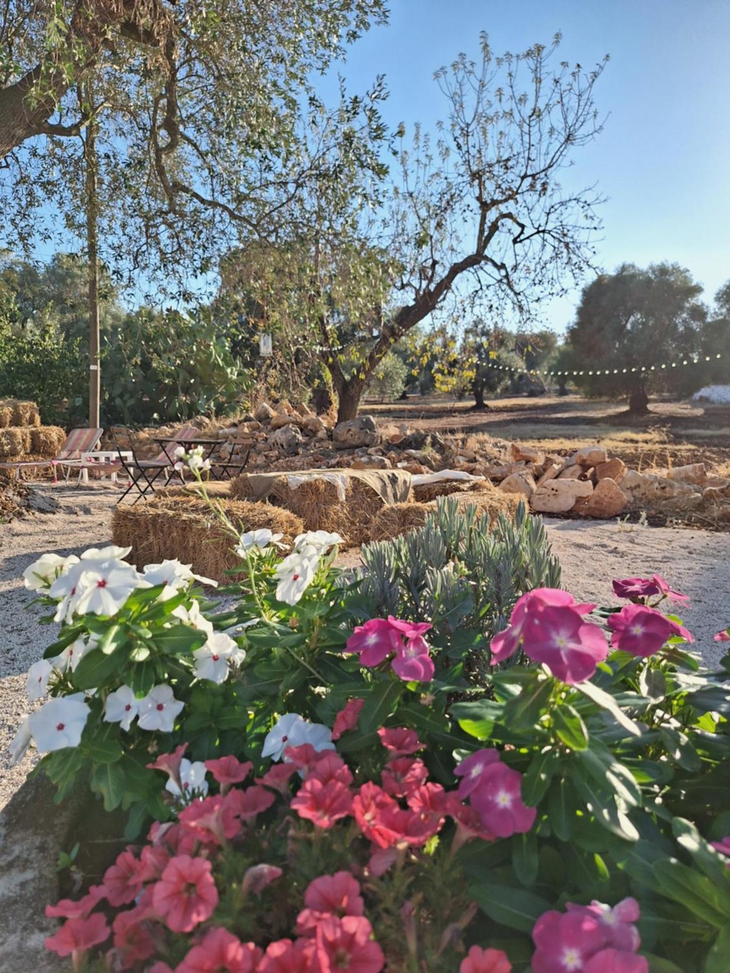 Residenza Anima Mediterranea Holiday home Francavilla Fontana