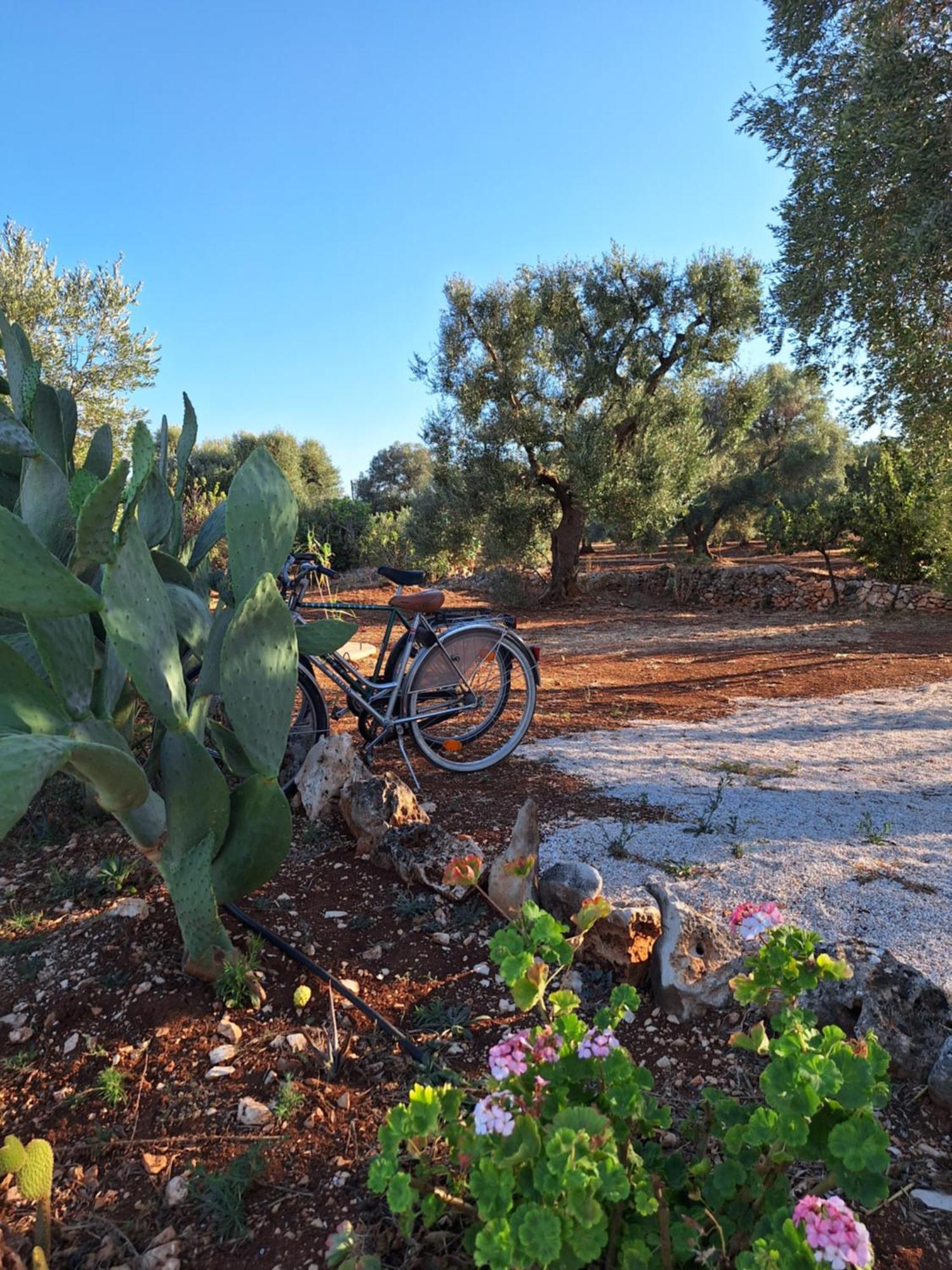 Residenza Anima Mediterranea Francavilla Fontana